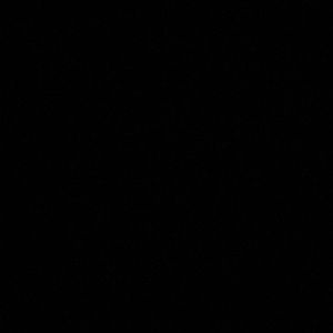 Meet your Posher, Sofia